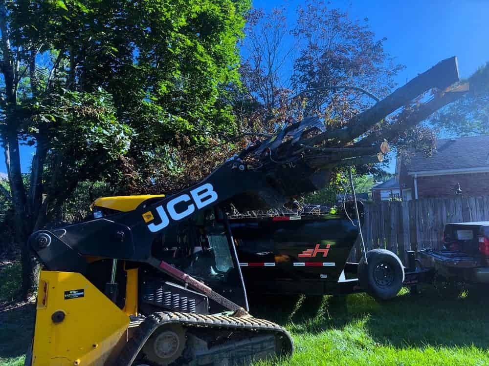 Landscape Maintenance and Renovation image